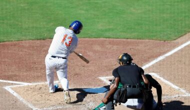 Mets, Tortugas split Saturday doubleheader in PSL | Sports