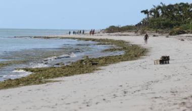 Heat Advisory Tuesday on Key Biscayne as index tops 105 | Key Biscayne
