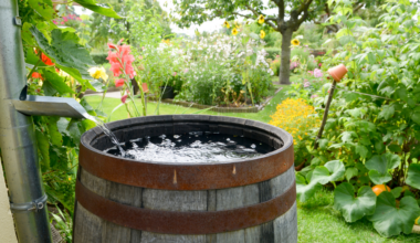 Key Biscayne Rain Barrel Project the topic of upcoming Lunch & Learn | Key Biscayne