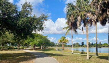 Loved Living in Miami Beach, but Knew I Had to Leave After 3 Years