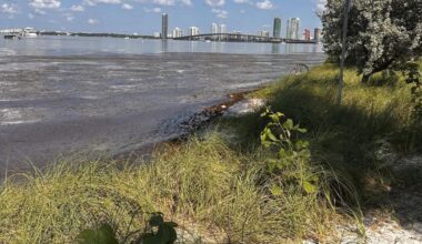 Heat Advisory continues Friday on Key Biscayne | Key Biscayne