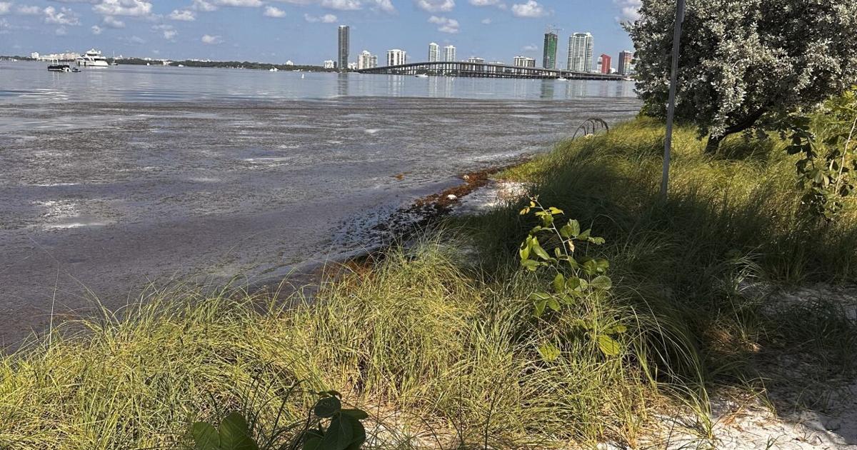 Heat Advisory continues Friday on Key Biscayne | Key Biscayne