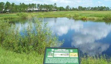 Stuart Commission voting on Haney Creek on Aug. 17 | Pet Of The Week