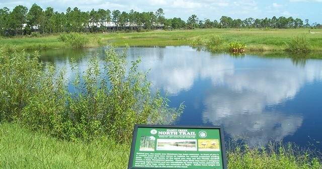 Stuart Commission voting on Haney Creek on Aug. 17 | Pet Of The Week