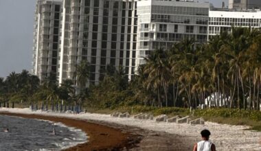 Hot start to Key Biscayne’s week before even hotter Tuesday | Key Biscayne
