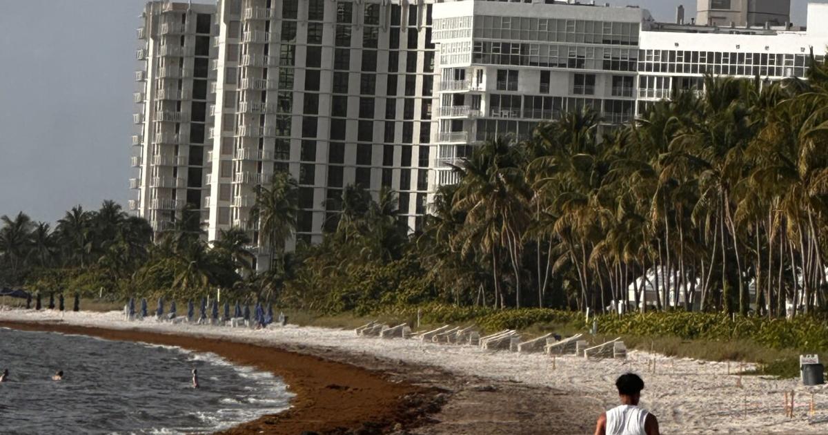 Hot start to Key Biscayne’s week before even hotter Tuesday | Key Biscayne