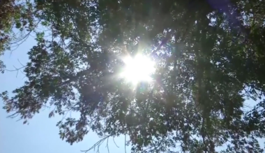 Southwest Florida heat: How to stay safe and save on cooling costs | Southwest Florida