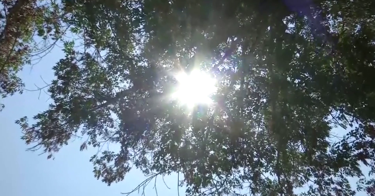 Southwest Florida heat: How to stay safe and save on cooling costs | Southwest Florida