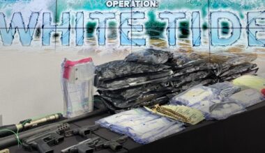 LCSO says it's ‘White Tide’ operation led to 100+ arrests and major drug seizures | Lee County