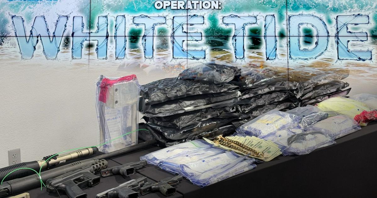 LCSO says it's ‘White Tide’ operation led to 100+ arrests and major drug seizures | Lee County