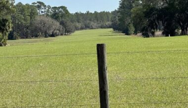 Viewpoint: Florida university’s plan for flight school in national forest is plane crazy | Opinions
