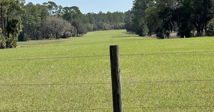 Viewpoint: Florida university’s plan for flight school in national forest is plane crazy | Opinions