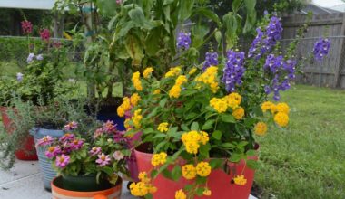 Gardening in Florida: there’s an app for that | St. Lucie County