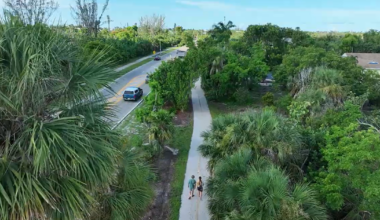 Sanibel's Roots in Resilience project replants native trees lost to hurricanes | Lee County