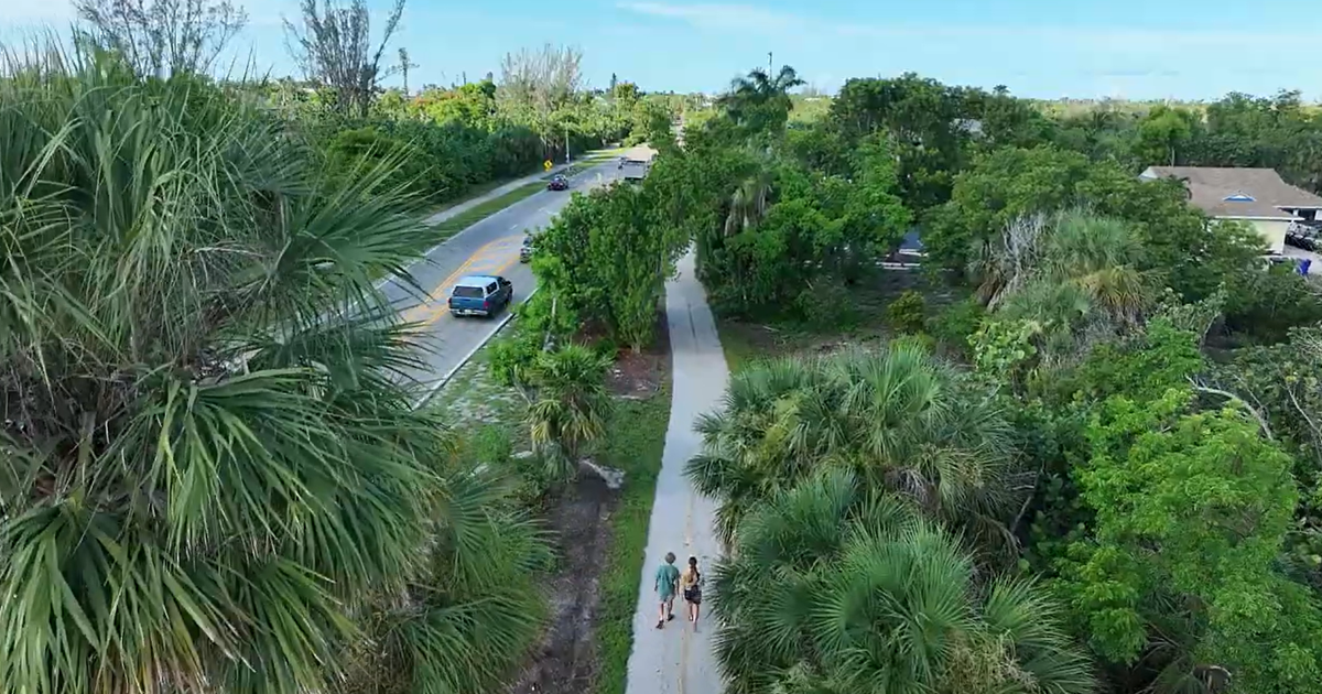 Sanibel's Roots in Resilience project replants native trees lost to hurricanes | Lee County