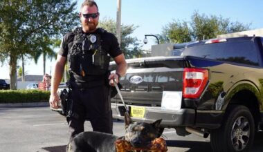 Cape Coral officer arrested for battery, assault while off duty | Lee County