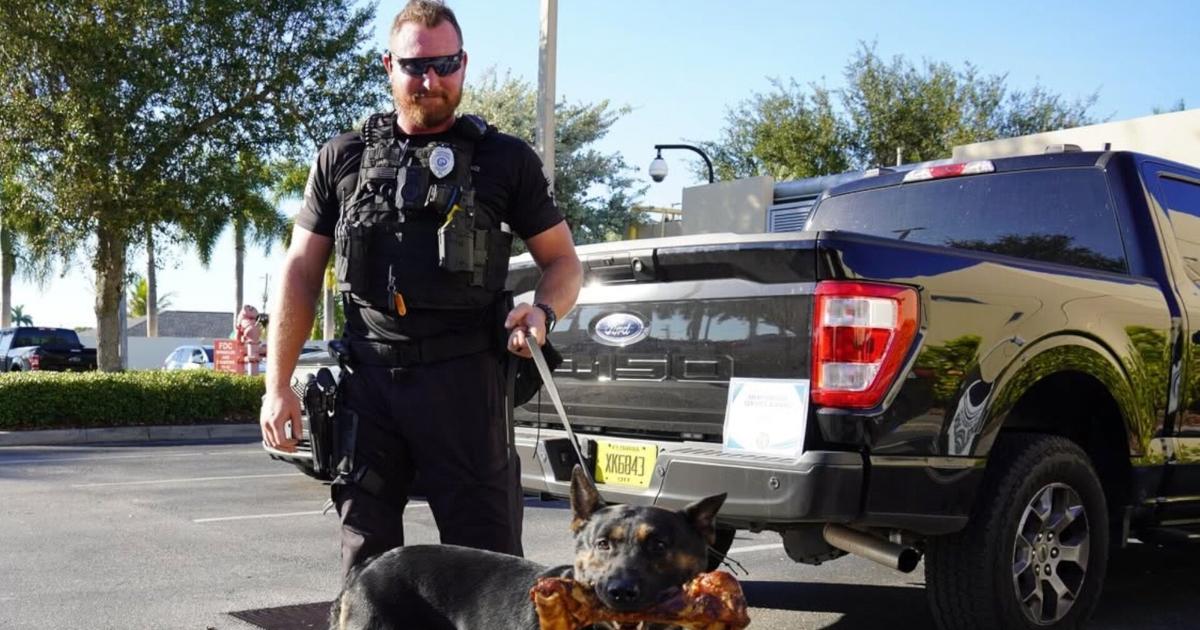 Cape Coral officer arrested for battery, assault while off duty | Lee County