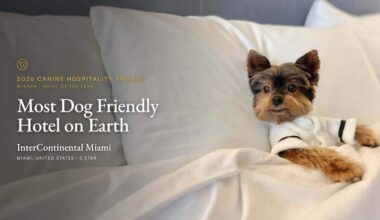Canine hospitality transforms Miami luxury hotel stays