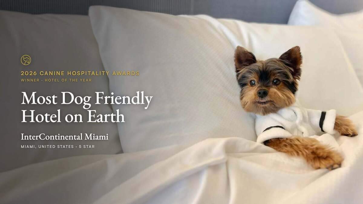 Canine hospitality transforms Miami luxury hotel stays