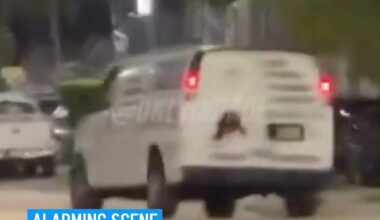 The screams were coming from inside the van. An arrest was made after a video on social media showed a van driving recklessly in Hialeah, while a woman was heard screaming inside, police said. According to Hialeah Police, officers were aware of the video and responded to the incident on Friday, where someone was arrested. #hialeah #scream #socialmedia #viral