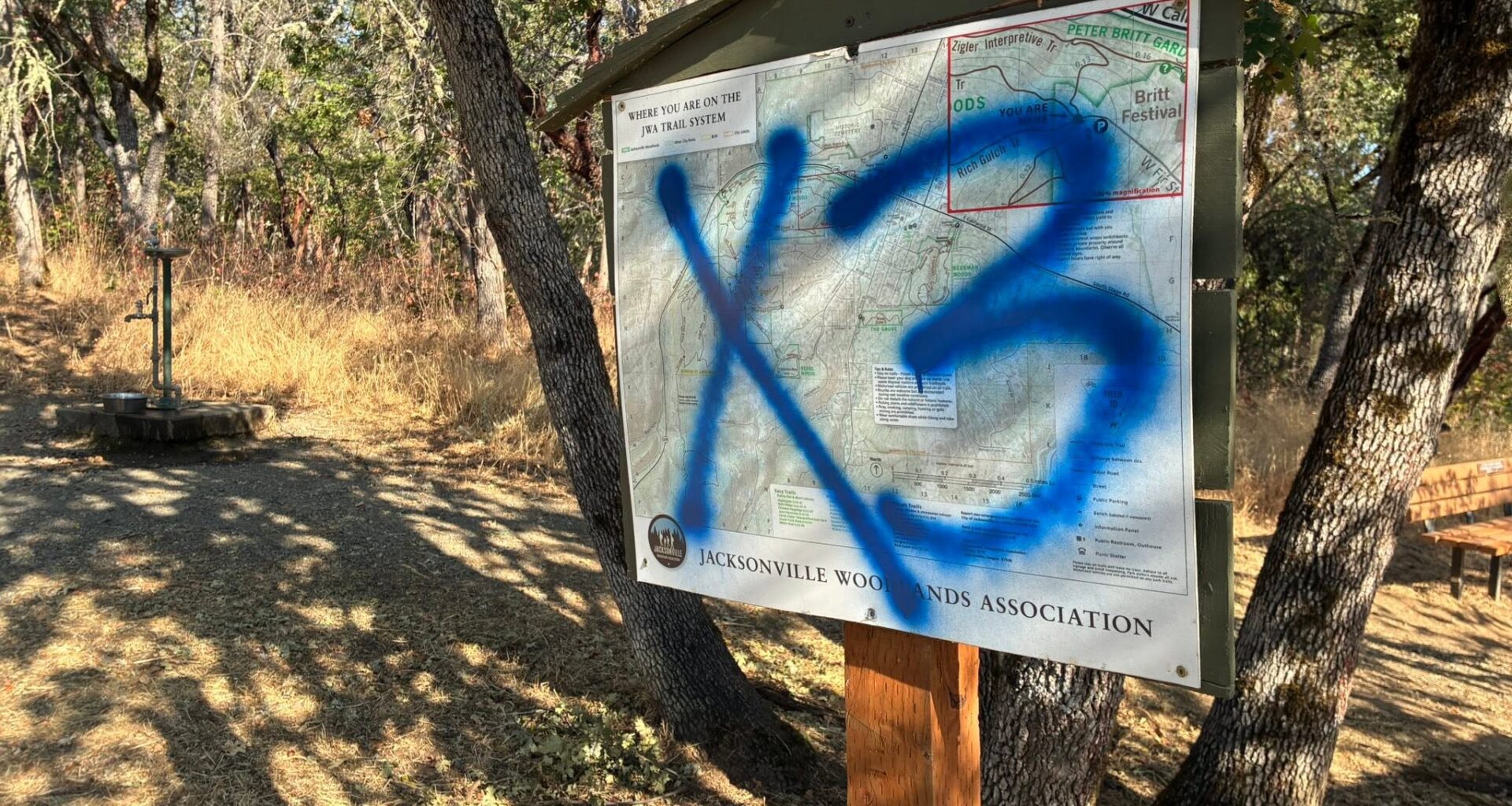 Jacksonville police investigate potentially gang-related graffiti