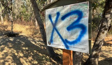 Jacksonville police investigate potentially gang-related graffiti