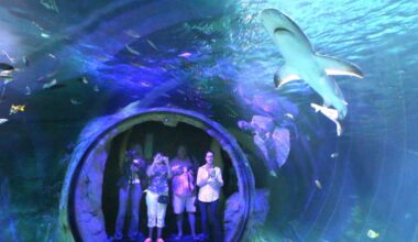 Sea Life Orlando Aquarium event lures adults