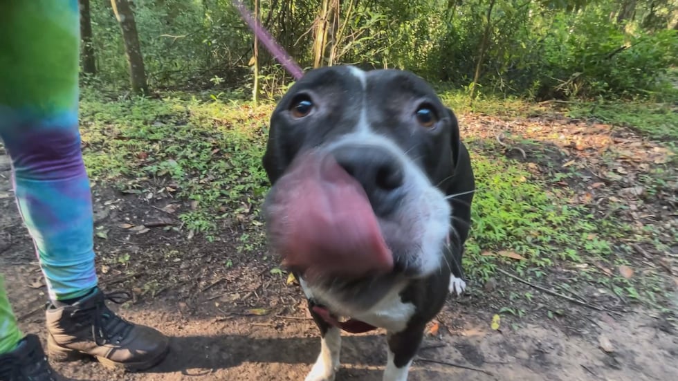 Samuel is fun and friendly with plenty of kisses for the camera!