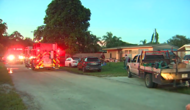 2 animals killed during house fire in Hollywood - WSVN 7News | Miami News, Weather, Sports