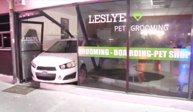 Car smashes through Doral pet grooming shop, no injuries reported - WSVN 7News | Miami News, Weather, Sports