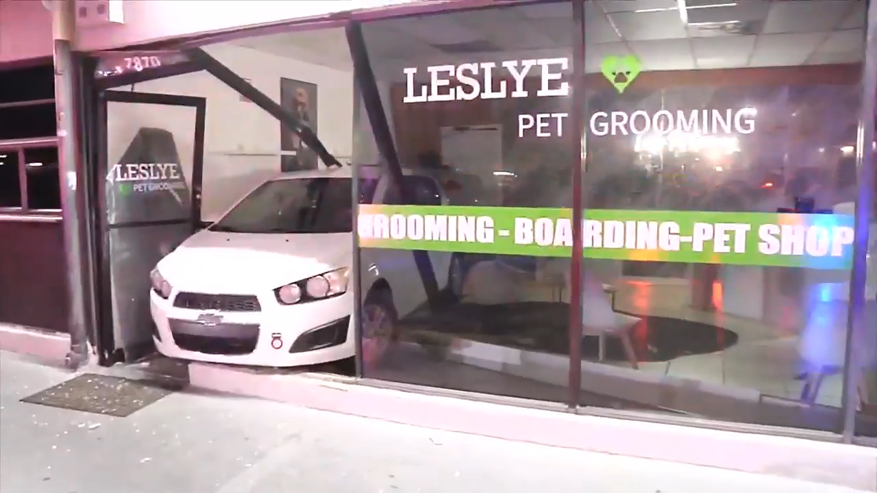 Car smashes through Doral pet grooming shop, no injuries reported - WSVN 7News | Miami News, Weather, Sports