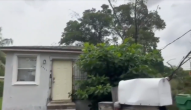 Liberty City family left with damaged home and no power after tree falls into roof following fierce storms - WSVN 7News | Miami News, Weather, Sports