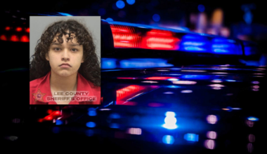 Teen accused of stealing more than $1K in toys from Cape Coral Target