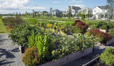New Florida Development Features 170-Acre Community Farm