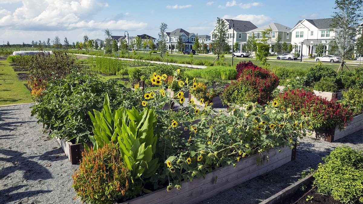 New Florida Development Features 170-Acre Community Farm
