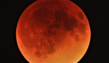 Look up! Blood moon eclipse visible in Florida. Here’s when