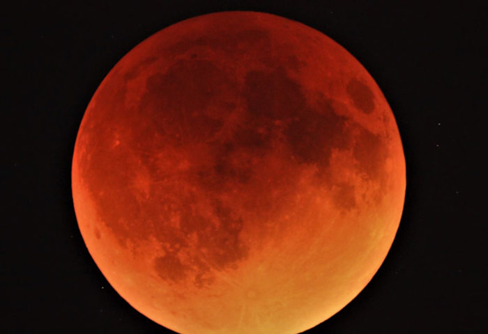 Look up! Blood moon eclipse visible in Florida. Here’s when