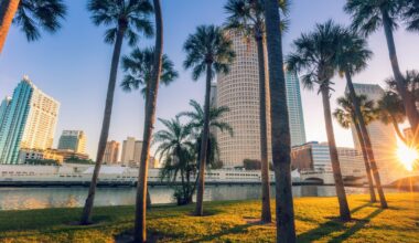 Preview: What You Need to Know for Connect Marketplace in Tampa