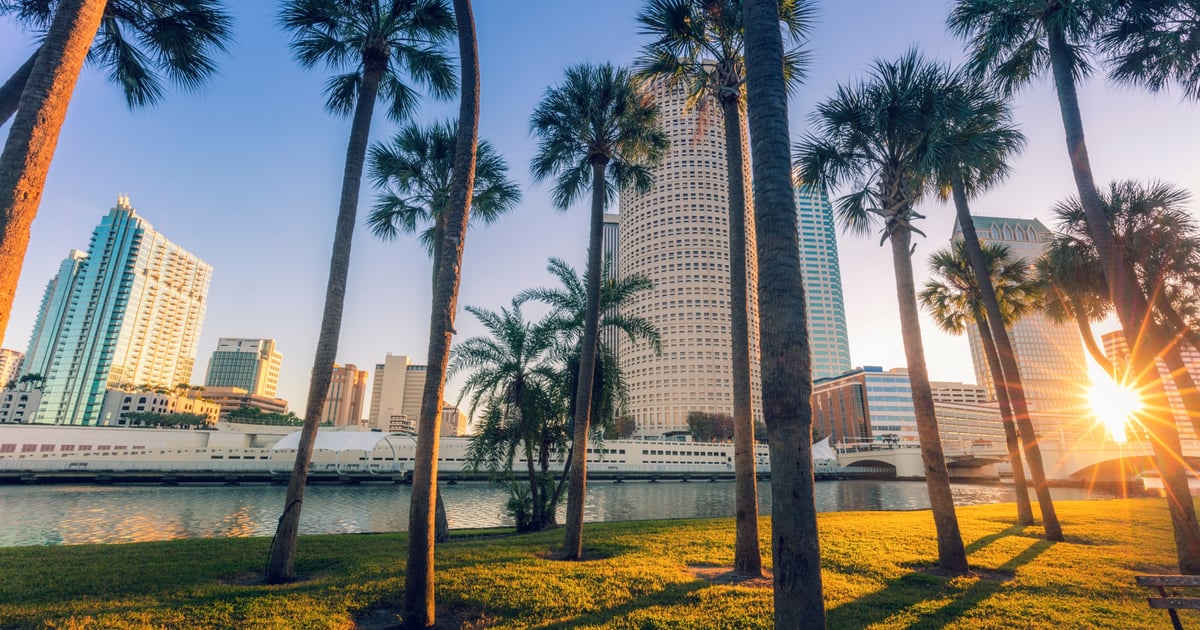 Preview: What You Need to Know for Connect Marketplace in Tampa