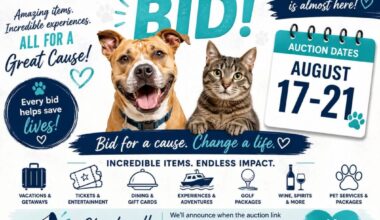 Countdown to CCAS’ annual on-line auction | Fundraiser supports animal shelter’s lifesaving efforts