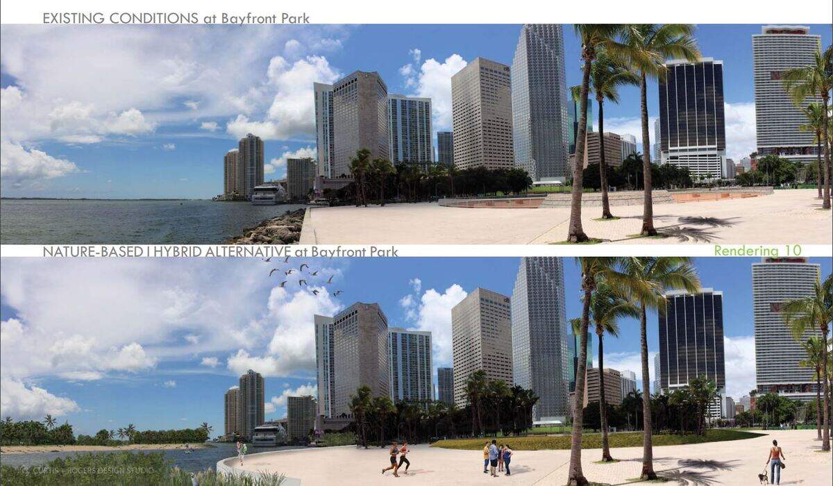 A rendering depicting what a living shoreline designed to protect downtown Miami might look like at Bayfront Park, instead of the Army Corps of Engineers’ proposed 10-foot high walls.
