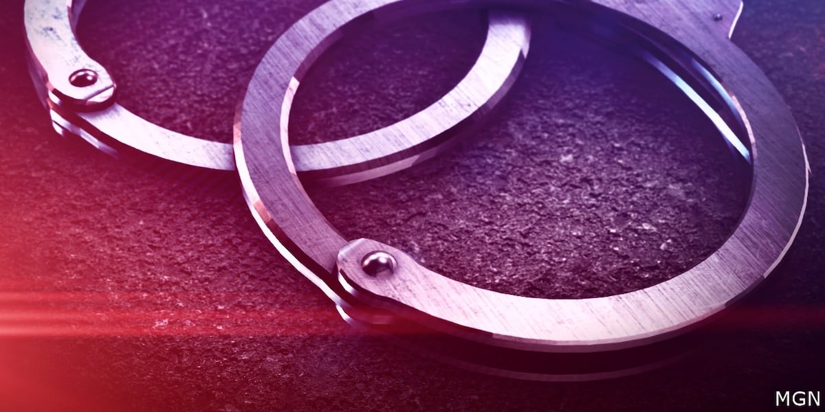 Teen in critical condition after stabbing in Ruskin; 15-year old charged