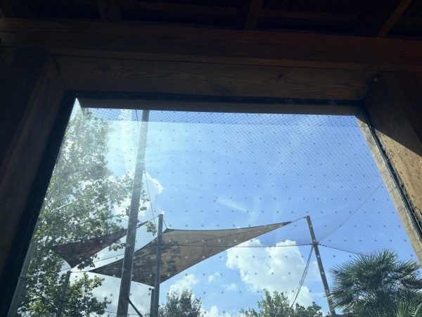 A view looking up through a large, dark wood-framed window. The glass is covered in a uniform grid pattern of small white dots, a feature designed to prevent bird collisions. Looking through the glass, there is a bright blue sky with fluffy white clouds. In the background, visible through the dotted pattern, are green trees, tall metal support poles, and two suspended triangular shade sails.