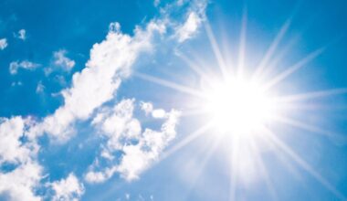 Leon County libraries open as cooling stations Monday following extreme heat warning