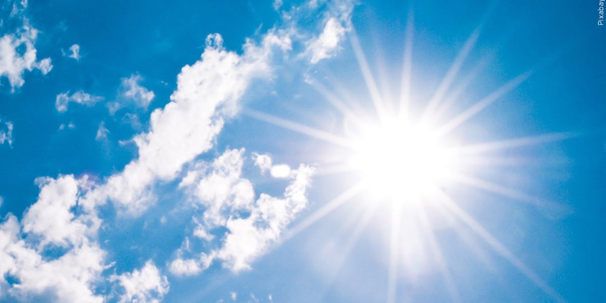 Leon County libraries open as cooling stations Monday following extreme heat warning