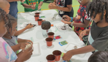 Boys & Girls Clubs of the Big Bend get hands-on experience in agriculture workshop