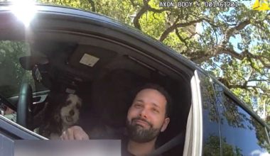Calvo pleads not guilty to police-light, illegal-turn citations