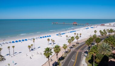 Pinellas spends millions selling its beaches overseas