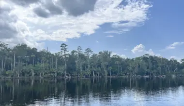 Forested land that could be developed near Palm Valley.