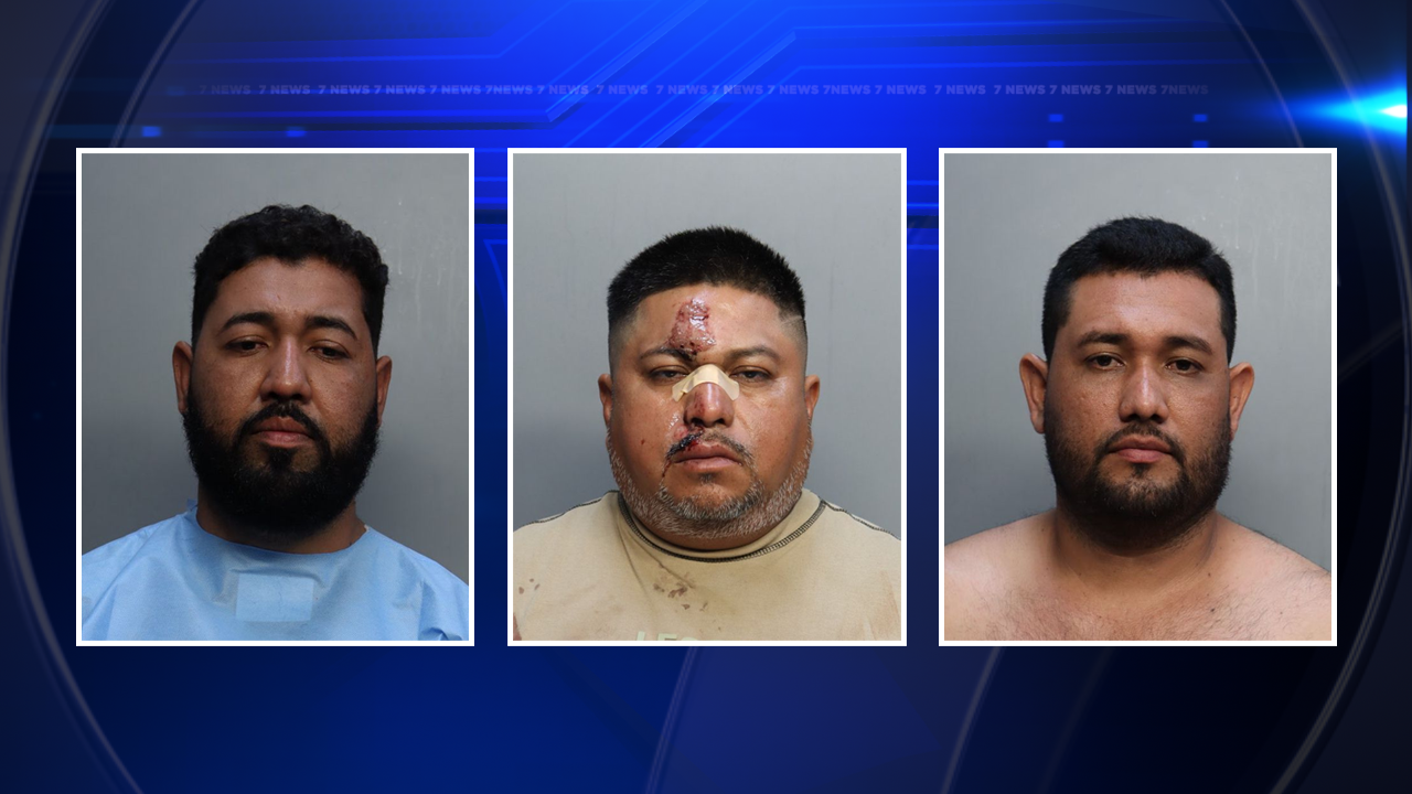 3 arrested after argument over public urination leads to stabbing in Miami - WSVN 7News | Miami News, Weather, Sports